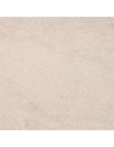 Carrelage Effet Pierre LITHOS 100x100