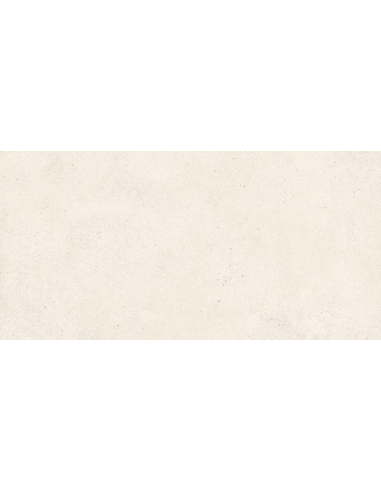 Carrelage Effet Beton BRIGHTON 60x120