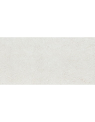 Carrelage Effet Beton LITHOS 60x120