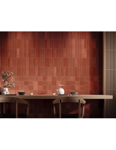 Carrelage Effet Zellige NANTERRE 5x20