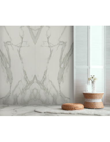 Carrelage Effet Marbre ESTATUARIO 120x300