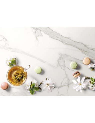 Carrelage Effet Marbre ESTATUARIO 120x300