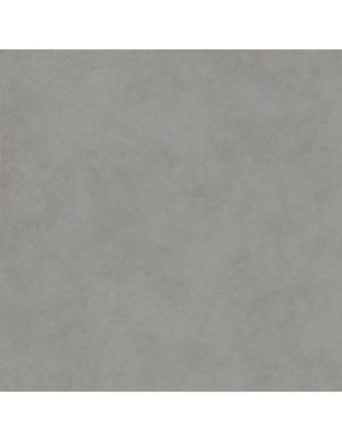 Carrelage Effet Beton ALTEREGO 60x120