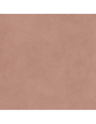 Carrelage Effet Beton ALTEREGO 5x120