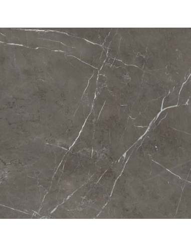 Carrelage Effet Marbre SENSI 900 120x120