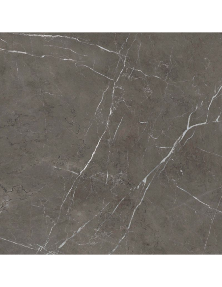 Carrelage Effet Marbre SENSI 900 60x120