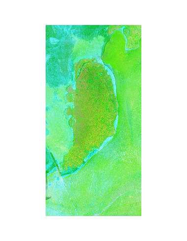 Carrelage Effet Bali CATI 29,5x60